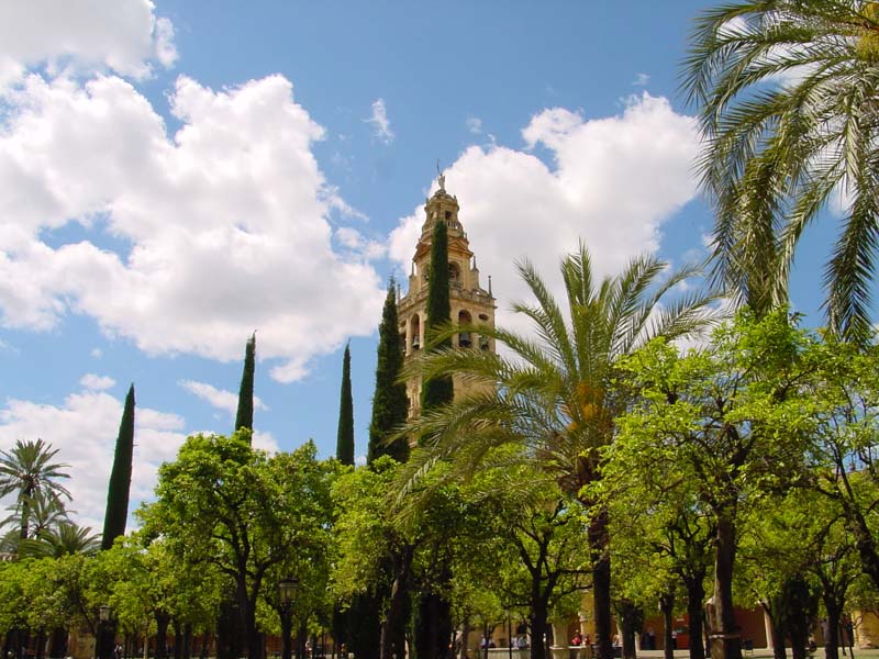 la Mezquita la Mezquita