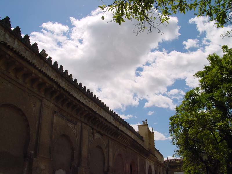 la Mezquita la Mezquita
