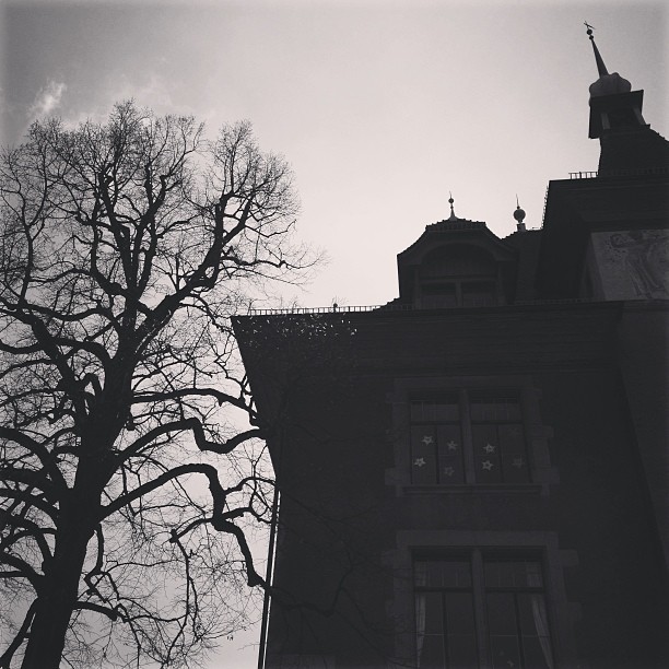 arbre