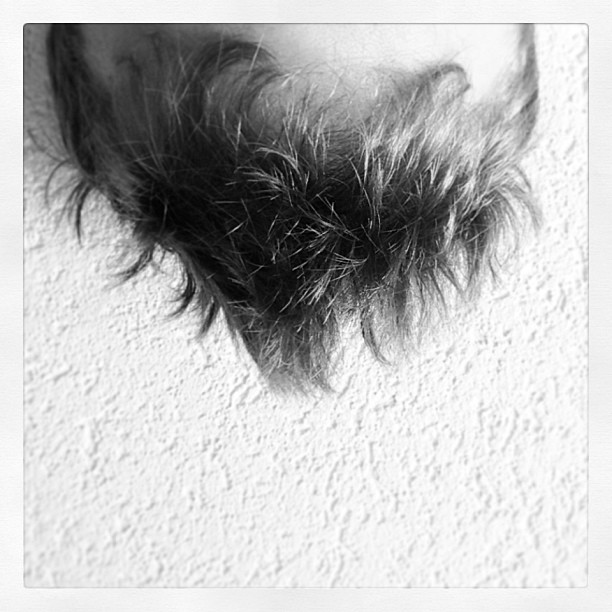 morning hair