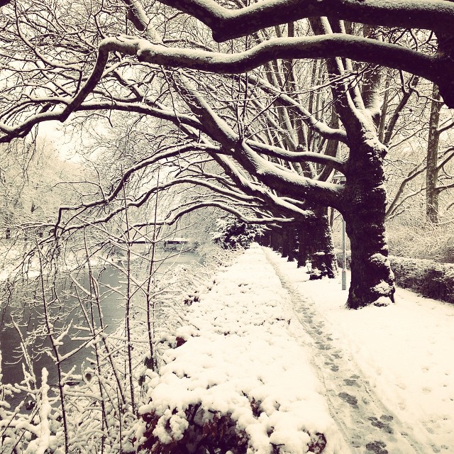 mandatory snow pic