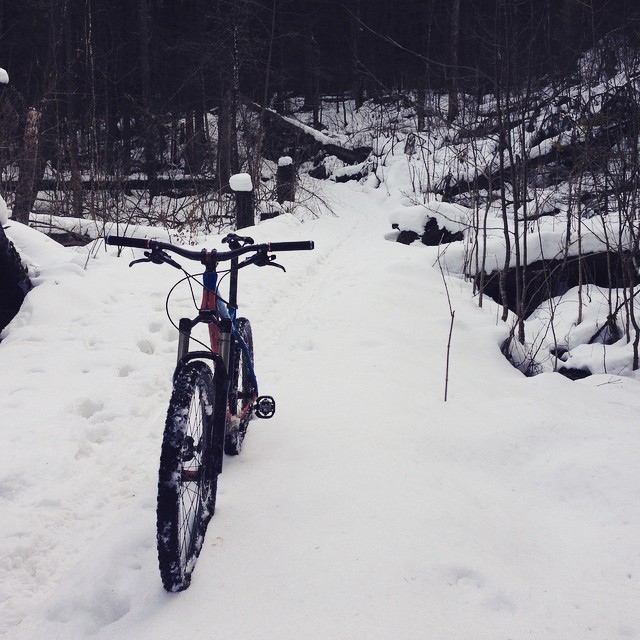 who needs winter sports anyway?!