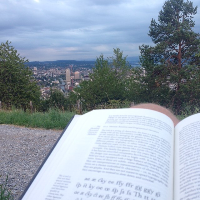 reading with a view