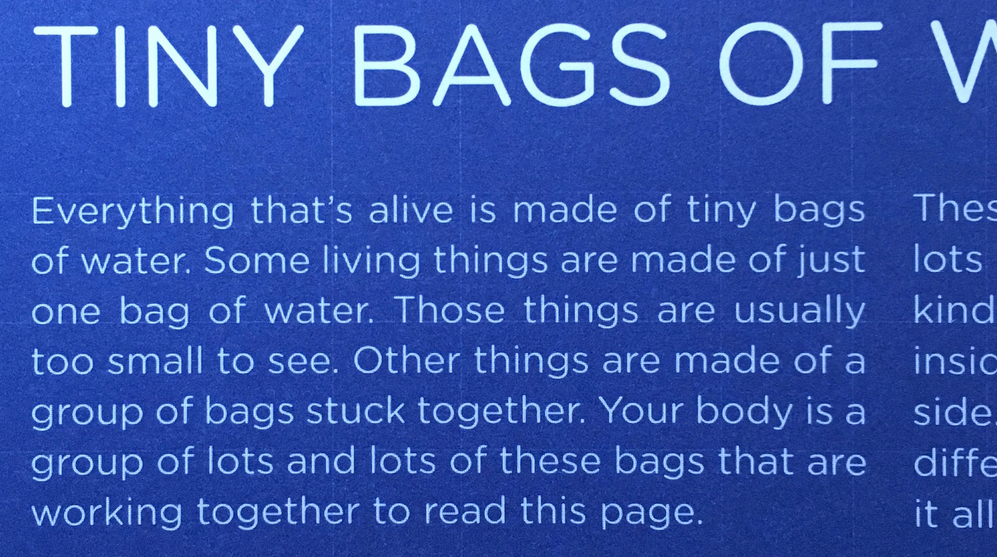 you are a lump of tiny bags of water you are a lump of tiny bags of water