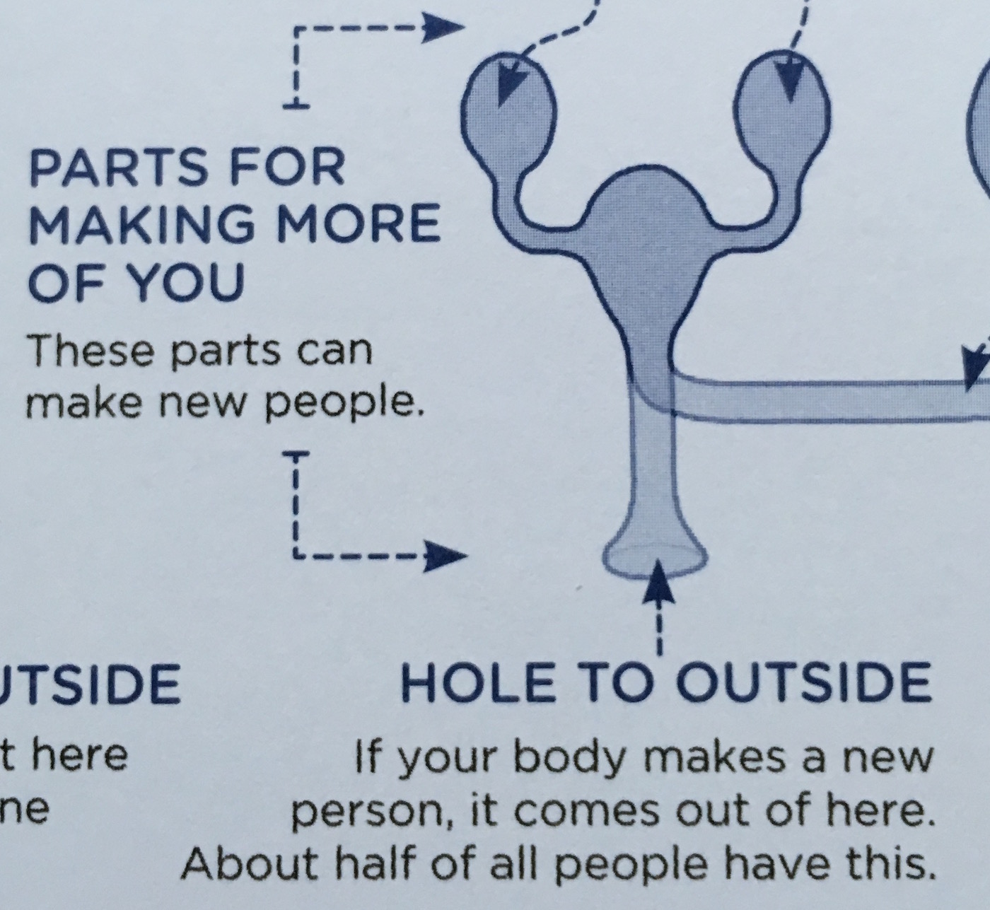 the You multipliers the You multipliers