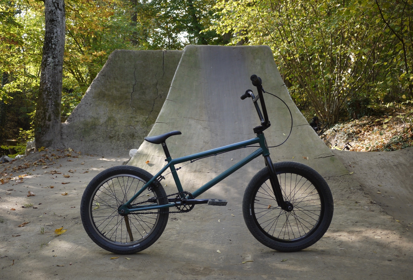 In its natural environment, at our local trails In its natural environment, at our local trails