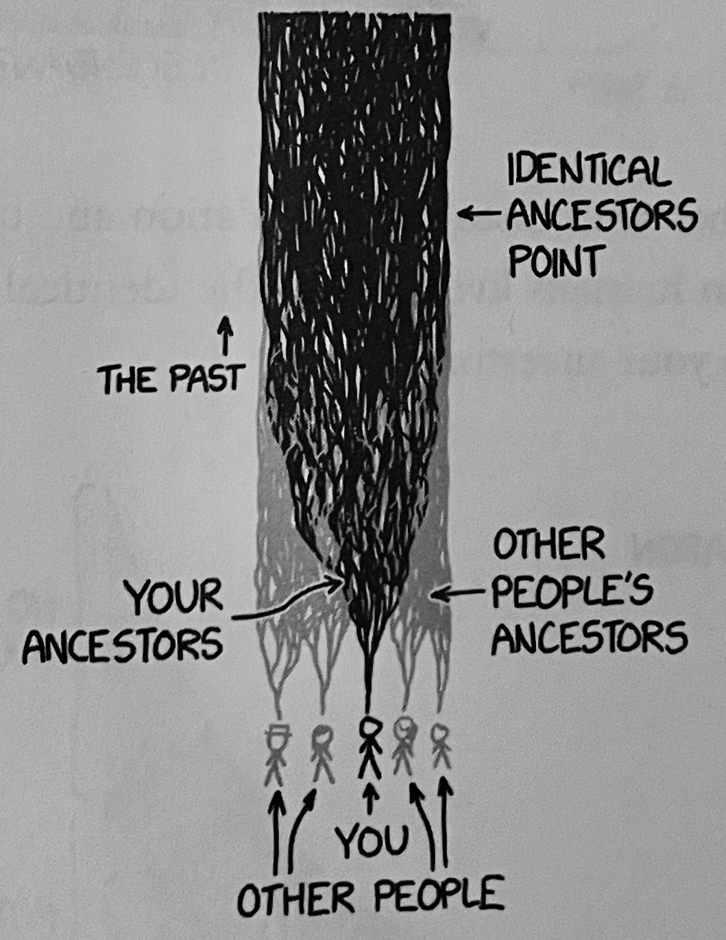 identical ancestors identical ancestors